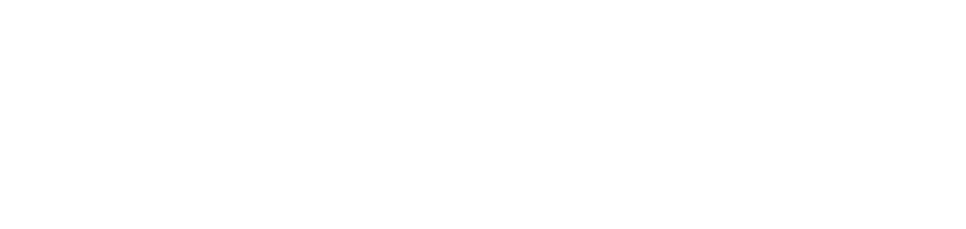 Aspire- IT Services Partner